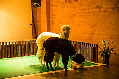 科幻RPG《Mechajammer》1.1版本更新25日上线